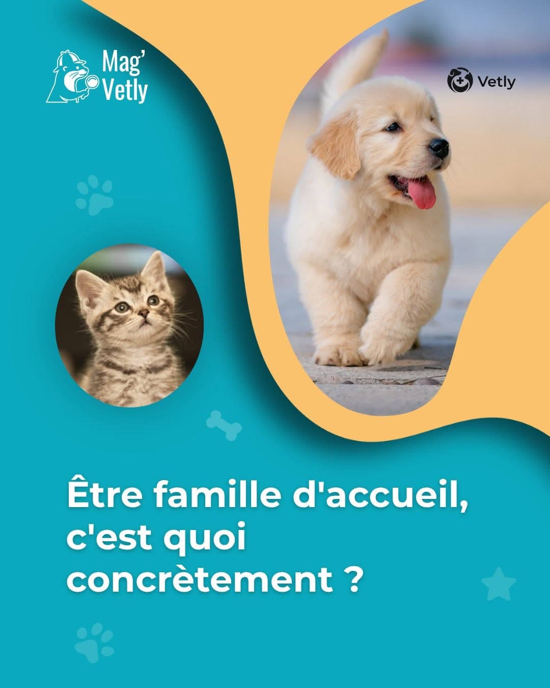 Être famille d'accueil, c'est quoi concrètement ?