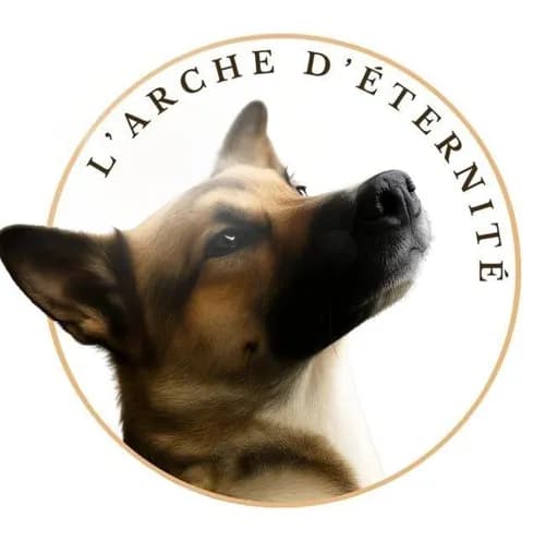 Arche éternité 