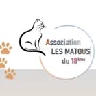 Les Matous du 18eme