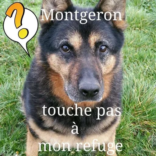 Animaux Sans Foyer (ASF) - Refuge de Montgeron
