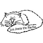 Les Amis de Pacha (L.A.D.P.)