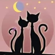 Ecole du chat de Drancy