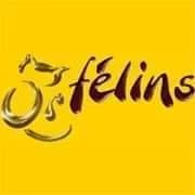 Orfélins