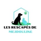 Les Rescapés de Mejdouline