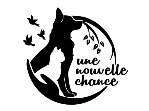 Une nouvelle chance