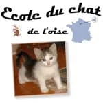 L'école du chat de l'Oise