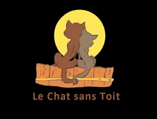 Le chat sans toit