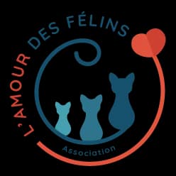 L'Amour des Félins