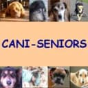 Cani-Seniors