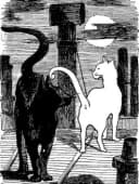 Ecole du Chat Libre Vals d'Yerres et de Seine