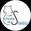 Les Chats de Stella - Refuge Gireau