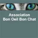Bon Oeil Bon Chat