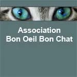 Bon Oeil Bon Chat