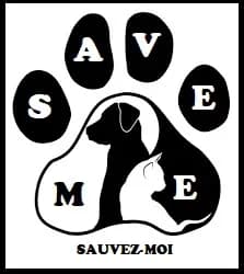 Save Me