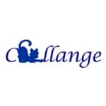 Challange