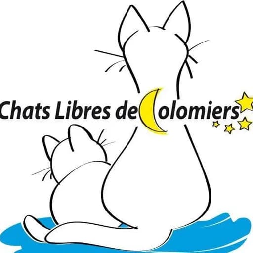 Chats libres de Colomiers