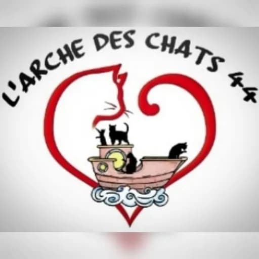 L'arche des chats 44