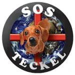 SOSTECKEL et Animaux en détresse