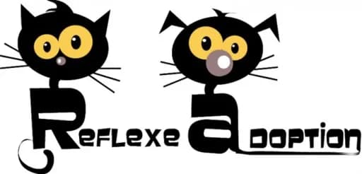 Réflexe Adoption