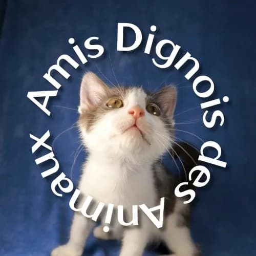Amis Dignois des Animaux