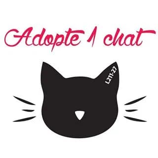 Adopte 1chat | L211.27