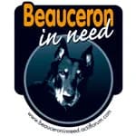 Beauceron In Need