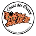 Chats des Dunes
