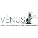 Vénus