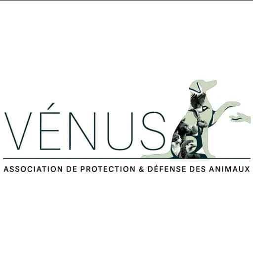Vénus