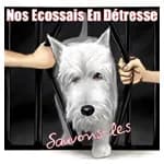 Nos Ecossais En Détresse (NEED)