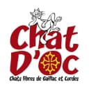 Chat d'Oc