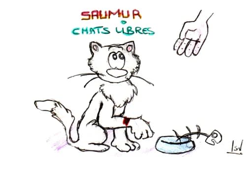 Saumur Chats Libres