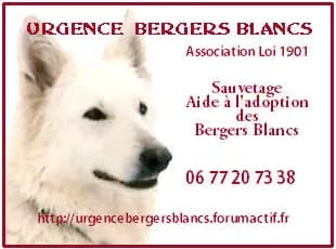 Urgence Bergers Blancs