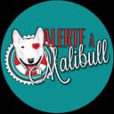Alerte à Malibull