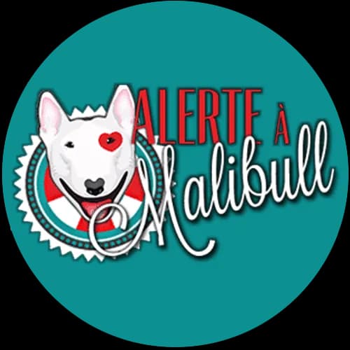 Alerte à Malibull