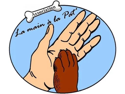 La Main à la Pat'
