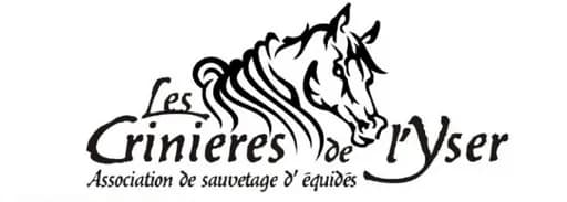 Les crinières de l'Yser