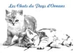 Les Chats du Pays d'ORNANS