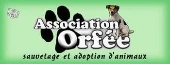Association Orfee