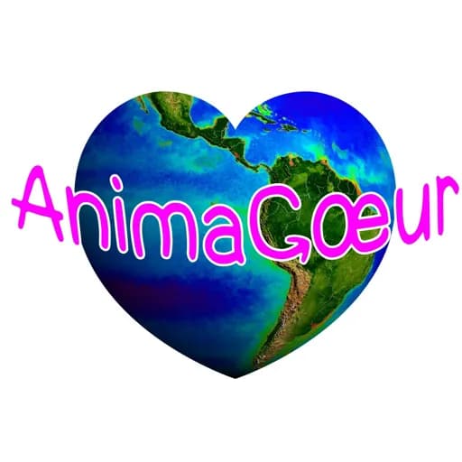 Animacoeur