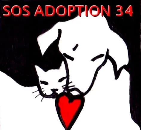 SOS Adoption 34