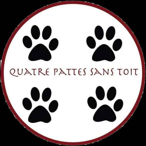 Quatre pattes sans toit