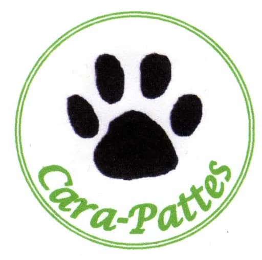 Cara-Pattes