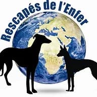 Rescapés de l'Enfer