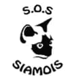 SOS Siamois