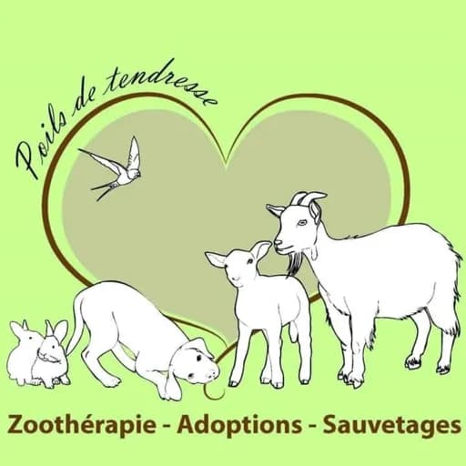 Poils de Tendresse