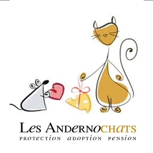 Les Andernochats