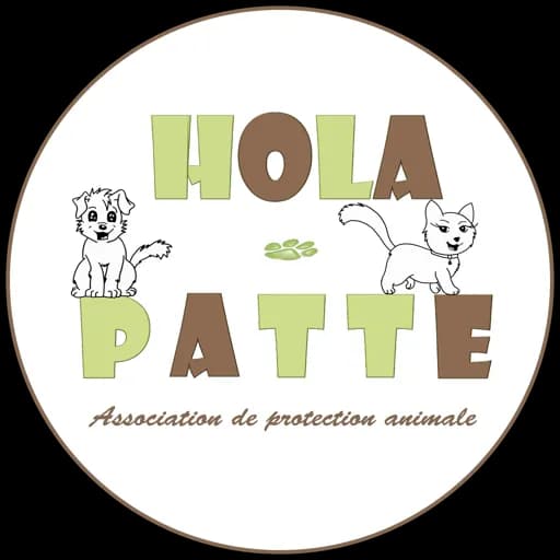 Hola-Patte