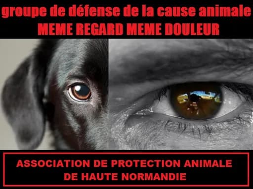 Meme Regard Meme Douleur
