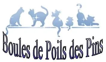 Boules de Poils des Pins